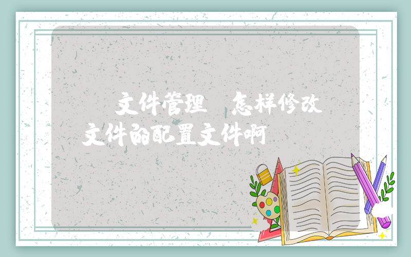 re文件管理(怎样修改RE文件的配置文件啊？)