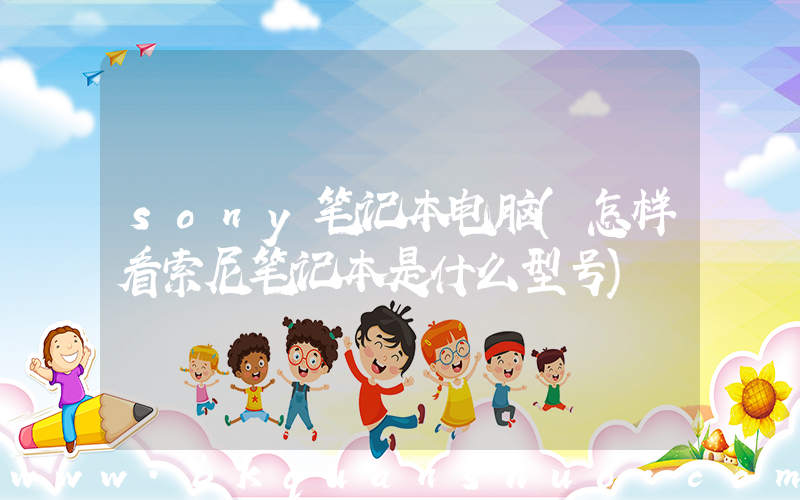 sony笔记本电脑(怎样看索尼笔记本是什么型号)