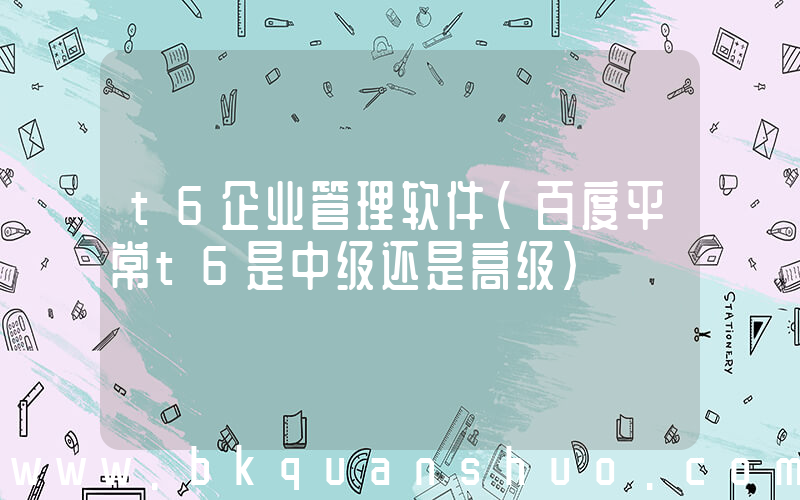 t6企业管理软件(百度平常t6是中级还是高级)