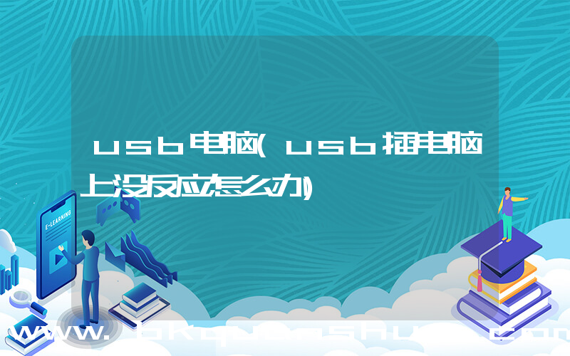 usb电脑(usb插电脑上没反应怎么办)