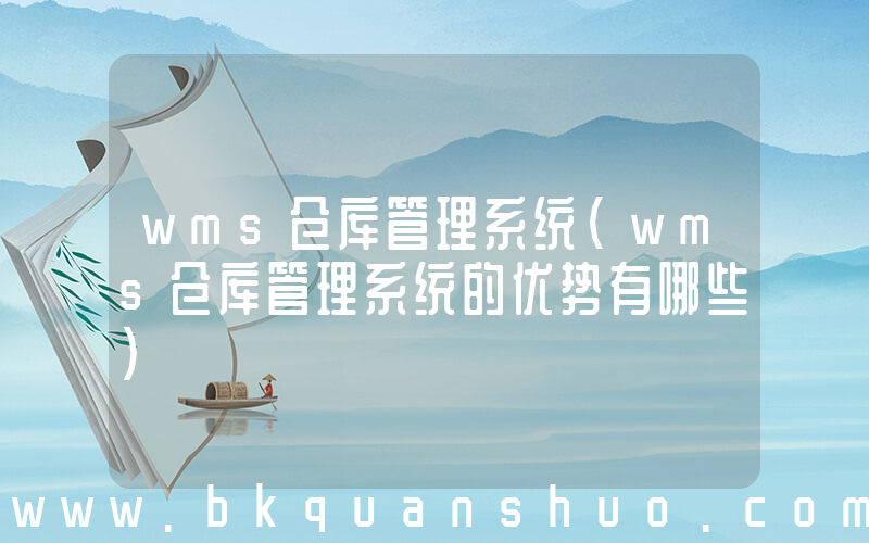 wms仓库管理系统(wms仓库管理系统的优势有哪些)