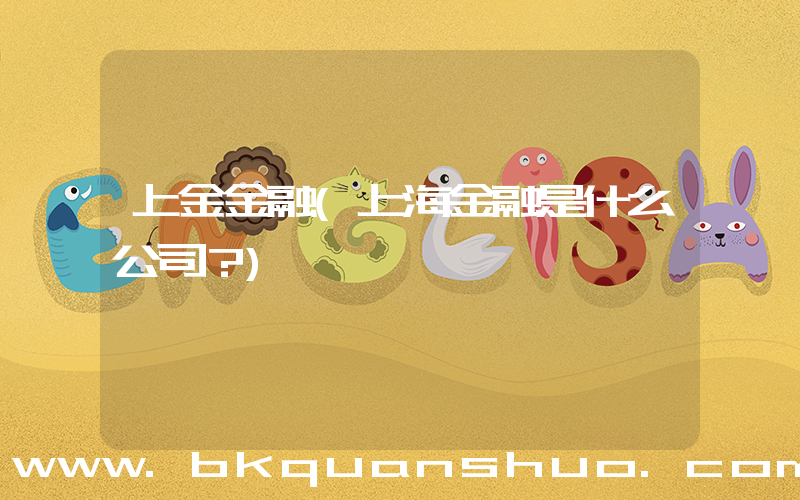 上金金融(上海金融是什么公司？)