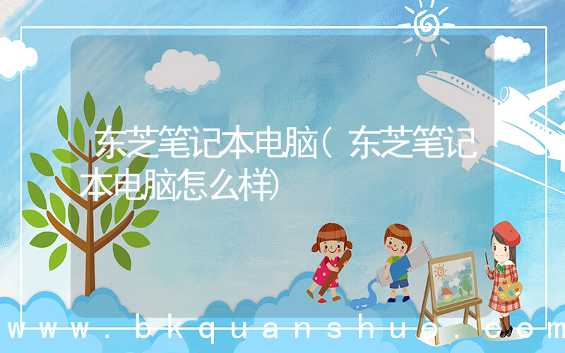 东芝笔记本电脑(东芝笔记本电脑怎么样)