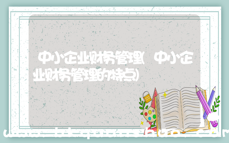 中小企业财务管理(中小企业财务管理的特点)