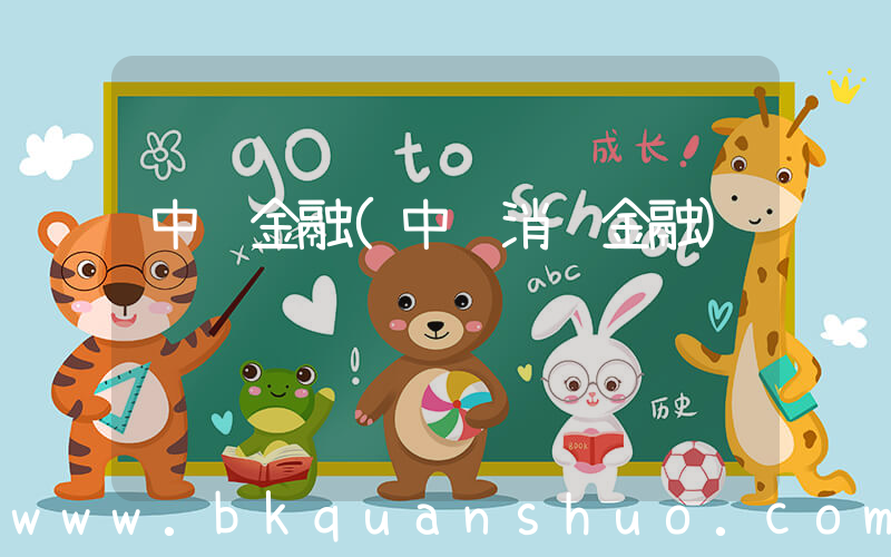 中银金融(中银消费金融)