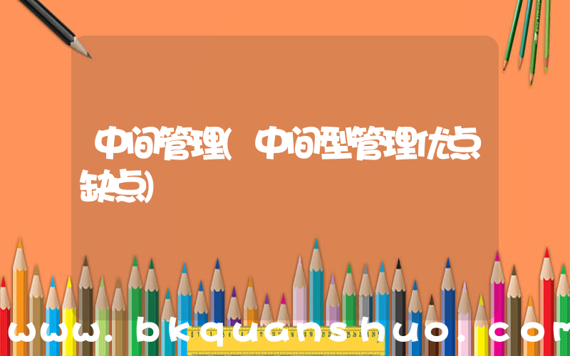 中间管理(中间型管理优点缺点)