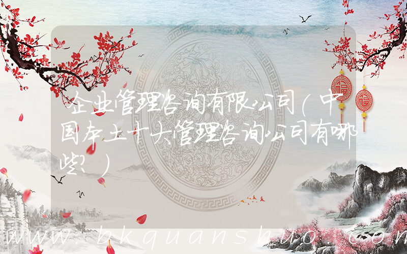 企业管理咨询有限公司(中国本土十大管理咨询公司有哪些？)