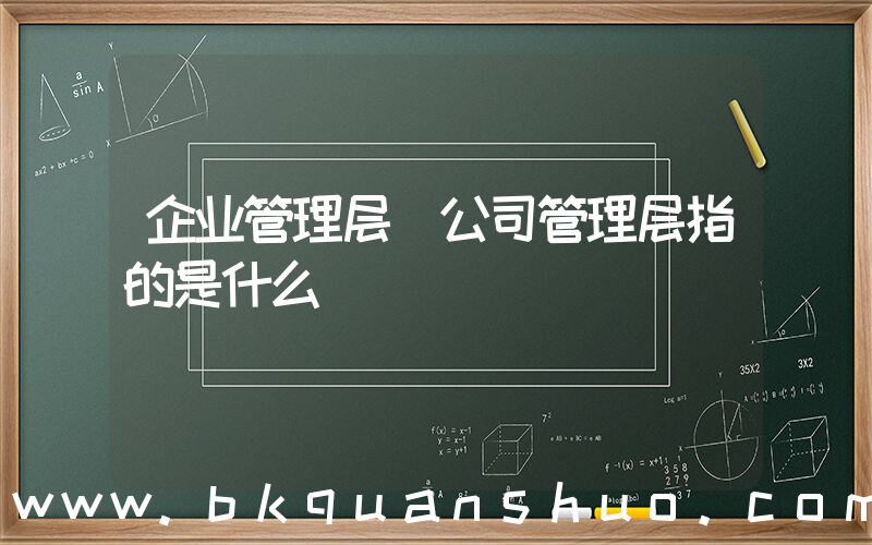 企业管理层(公司管理层指的是什么)