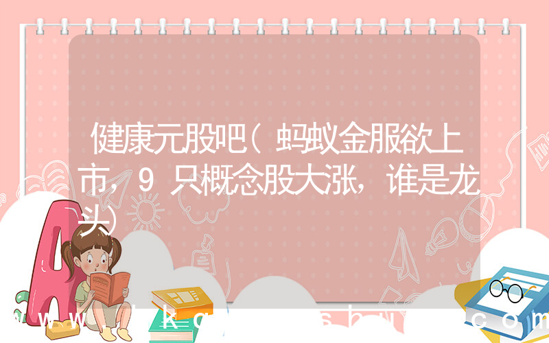 健康元股吧(蚂蚁金服欲上市，9只概念股大涨，谁是龙头)