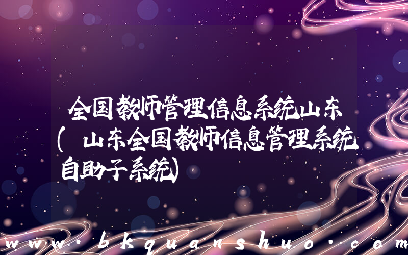 全国教师管理信息系统山东(山东全国教师信息管理系统自助子系统)