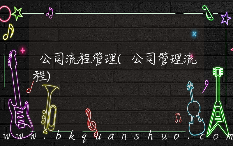 公司流程管理(公司管理流程)