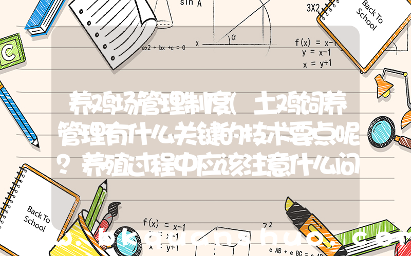 养鸡场管理制度(土鸡饲养管理有什么关键的技术要点呢？养殖过程中应该注意什么问题？)