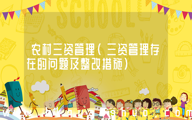 农村三资管理(三资管理存在的问题及整改措施)