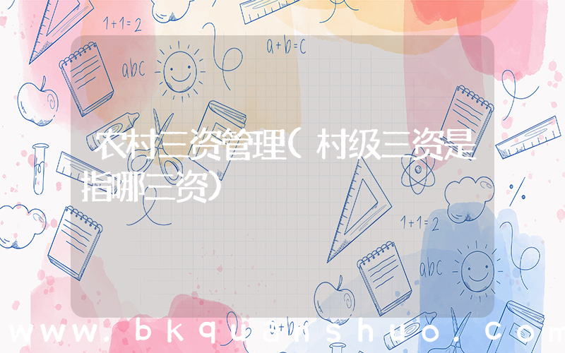 农村三资管理(村级三资是指哪三资)