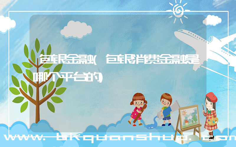 包银金融(包银消费金融是哪个平台的)