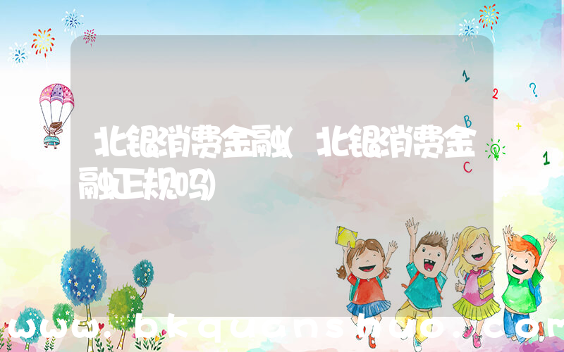 北银消费金融(北银消费金融正规吗)