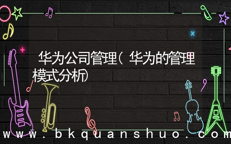 华为公司管理(华为的管理模式分析)
