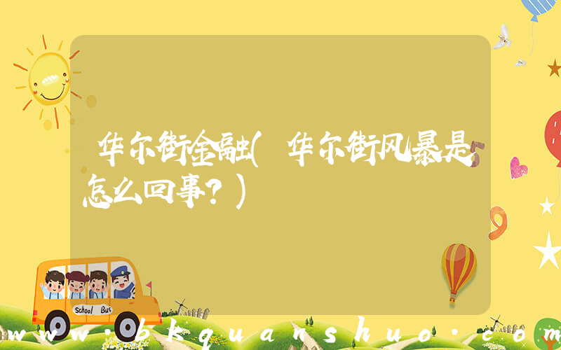 华尔街金融(华尔街风暴是怎么回事？)