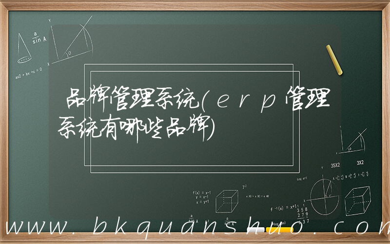 品牌管理系统(erp管理系统有哪些品牌)