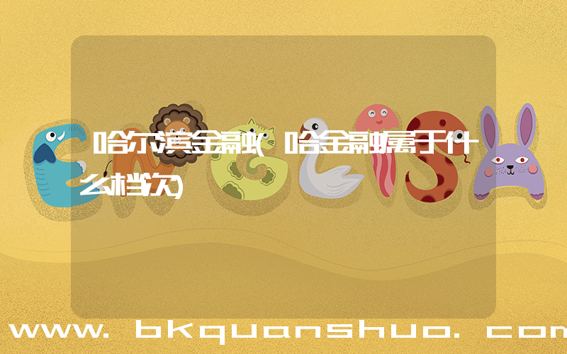 哈尔滨金融(哈金融属于什么档次)