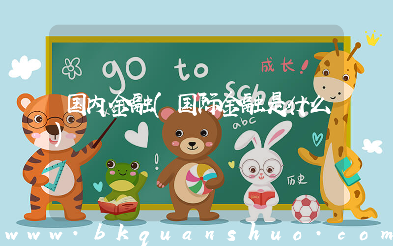 国内金融(国际金融是什么)