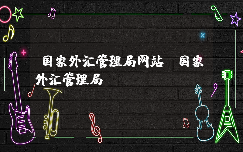国家外汇管理局网站(国家外汇管理局)