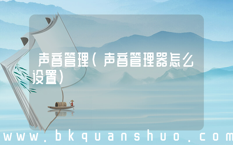 声音管理(声音管理器怎么设置)