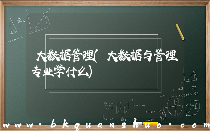 大数据管理(大数据与管理专业学什么)