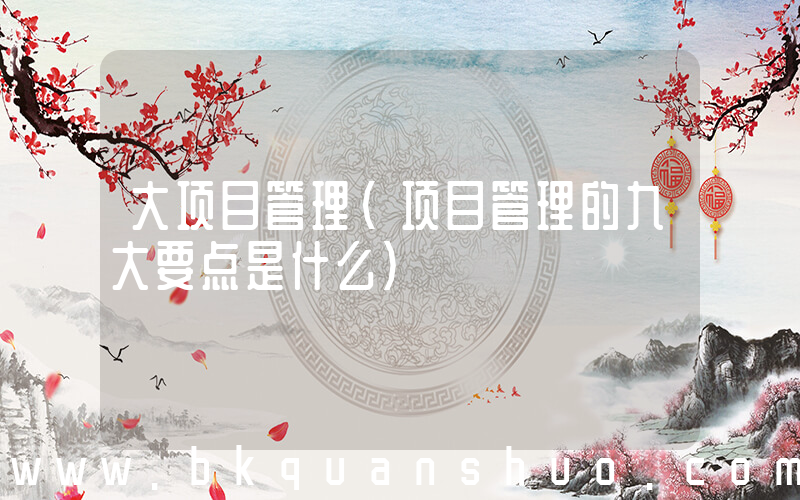 大项目管理(项目管理的九大要点是什么)