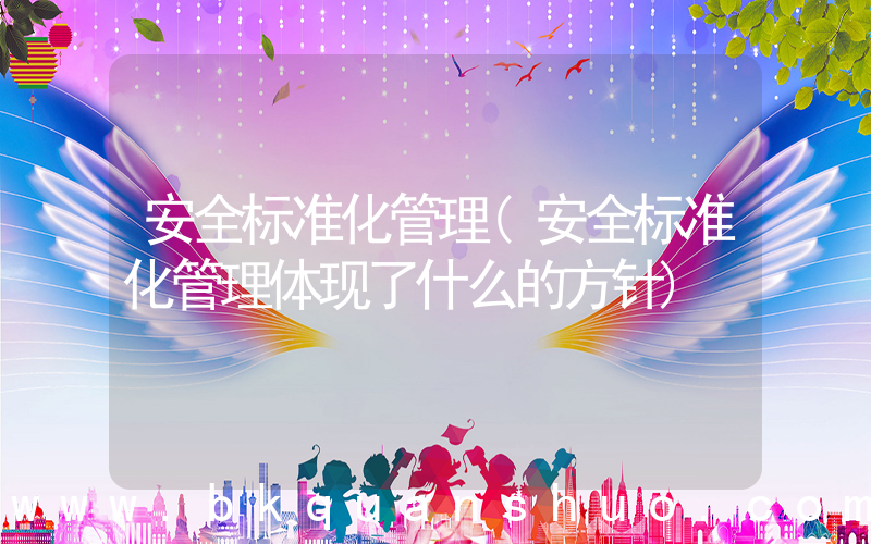 安全标准化管理(安全标准化管理体现了什么的方针)