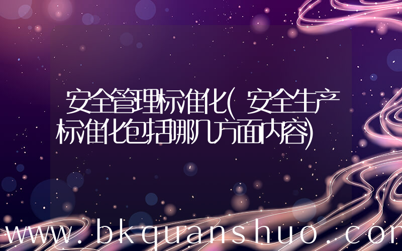 安全管理标准化(安全生产标准化包括哪几方面内容)