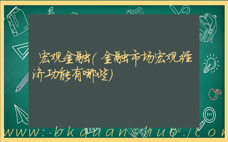 宏观金融(金融市场宏观经济功能有哪些)