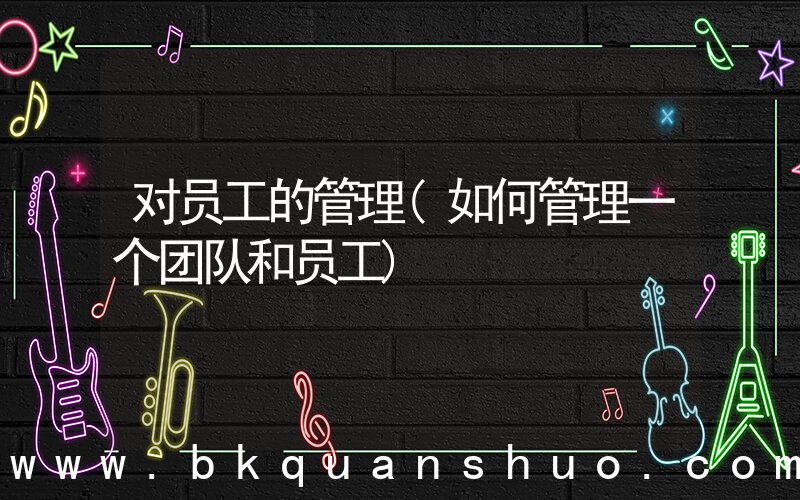 对员工的管理(如何管理一个团队和员工)