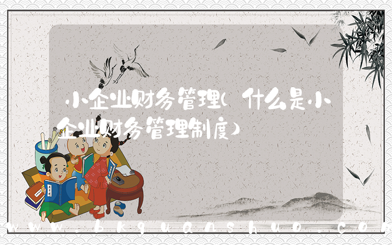 小企业财务管理(什么是小企业财务管理制度)
