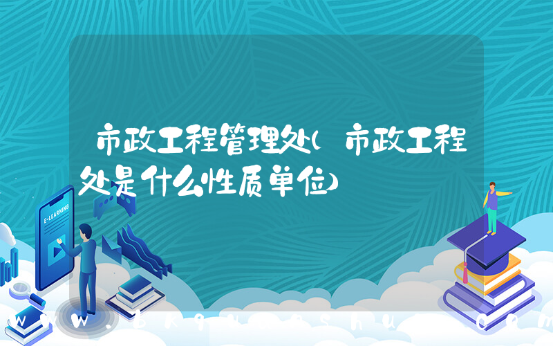 市政工程管理处(市政工程处是什么性质单位)