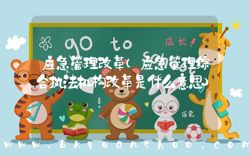 应急管理改革(应急管理综合执法机构改革是什么意思)
