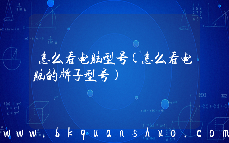 怎么看电脑型号(怎么看电脑的牌子型号)