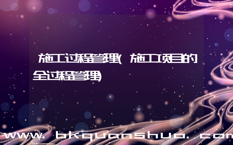 施工过程管理(施工项目的全过程管理)