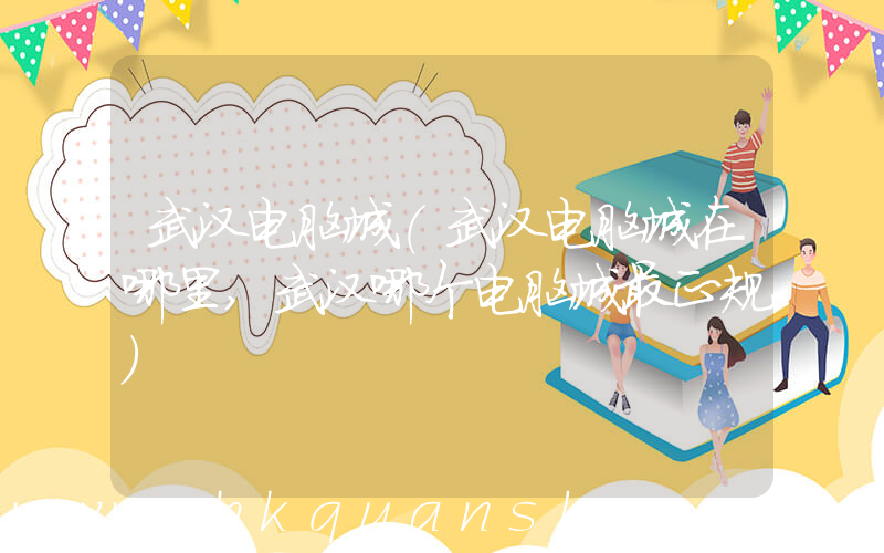 武汉电脑城(武汉电脑城在哪里,武汉哪个电脑城最正规)