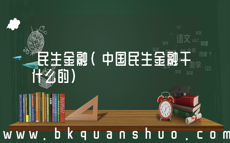 民生金融(中国民生金融干什么的)