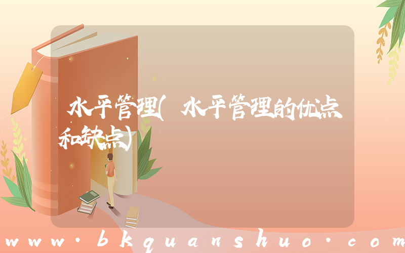 水平管理(水平管理的优点和缺点)