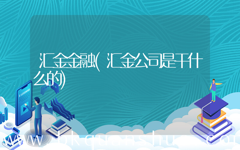 汇金金融(汇金公司是干什么的)