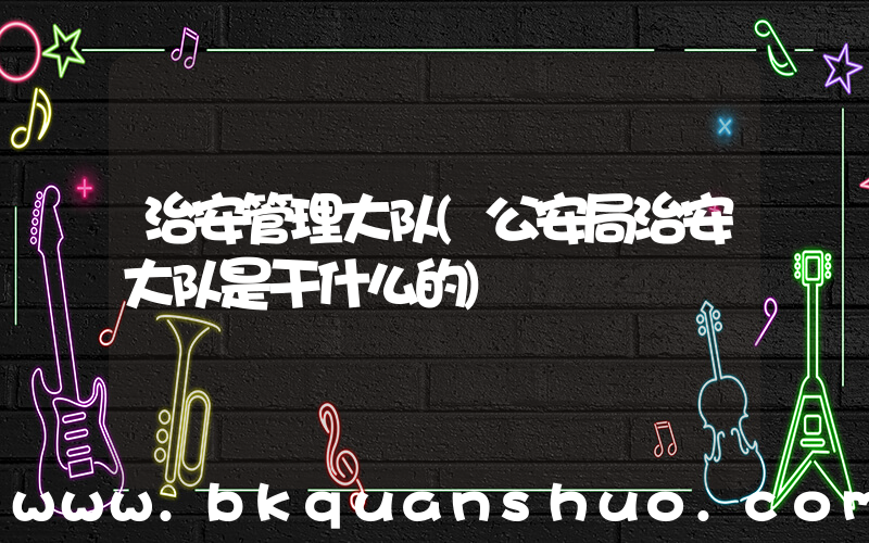 治安管理大队(公安局治安大队是干什么的)