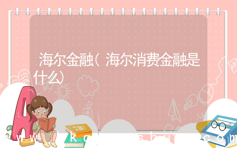海尔金融(海尔消费金融是什么)