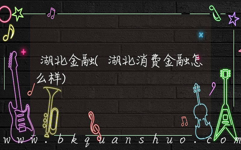 湖北金融(湖北消费金融怎么样)