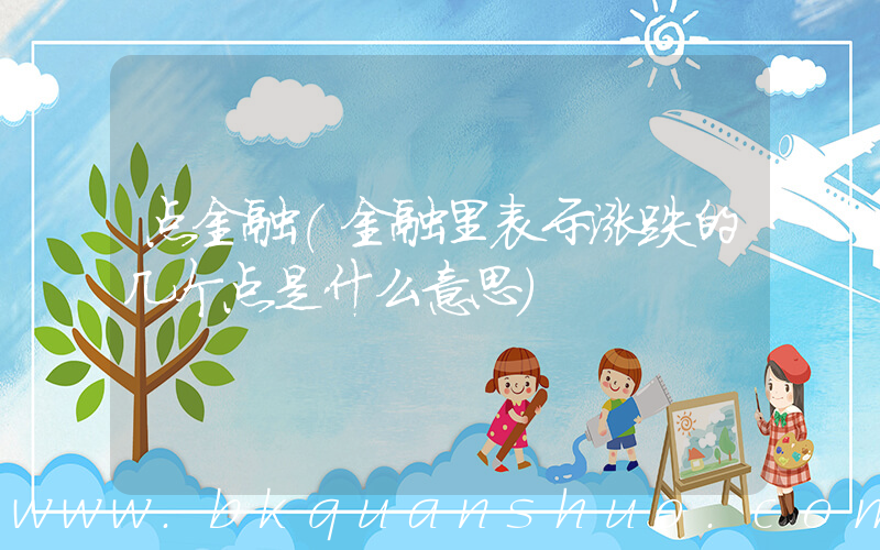 点金融(金融里表示涨跌的几个点是什么意思)