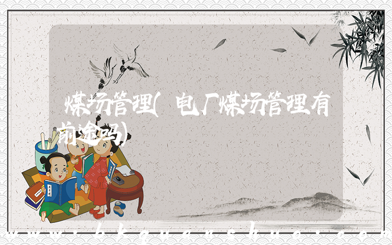 煤场管理(电厂煤场管理有前途吗)