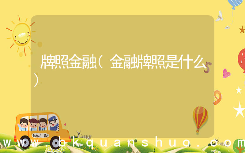 牌照金融(金融牌照是什么)