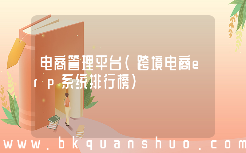 电商管理平台(跨境电商erp系统排行榜)