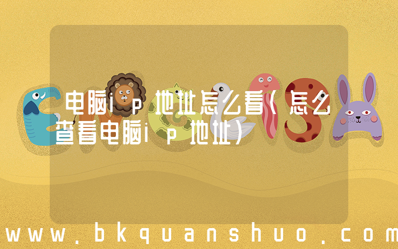 电脑ip地址怎么看(怎么查看电脑ip地址)